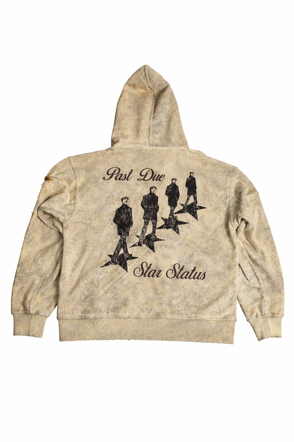 Star Status Zip Hoodie